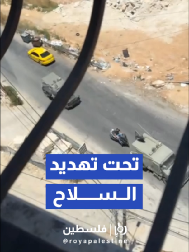 @Royapalestine رؤيا فلسطين
