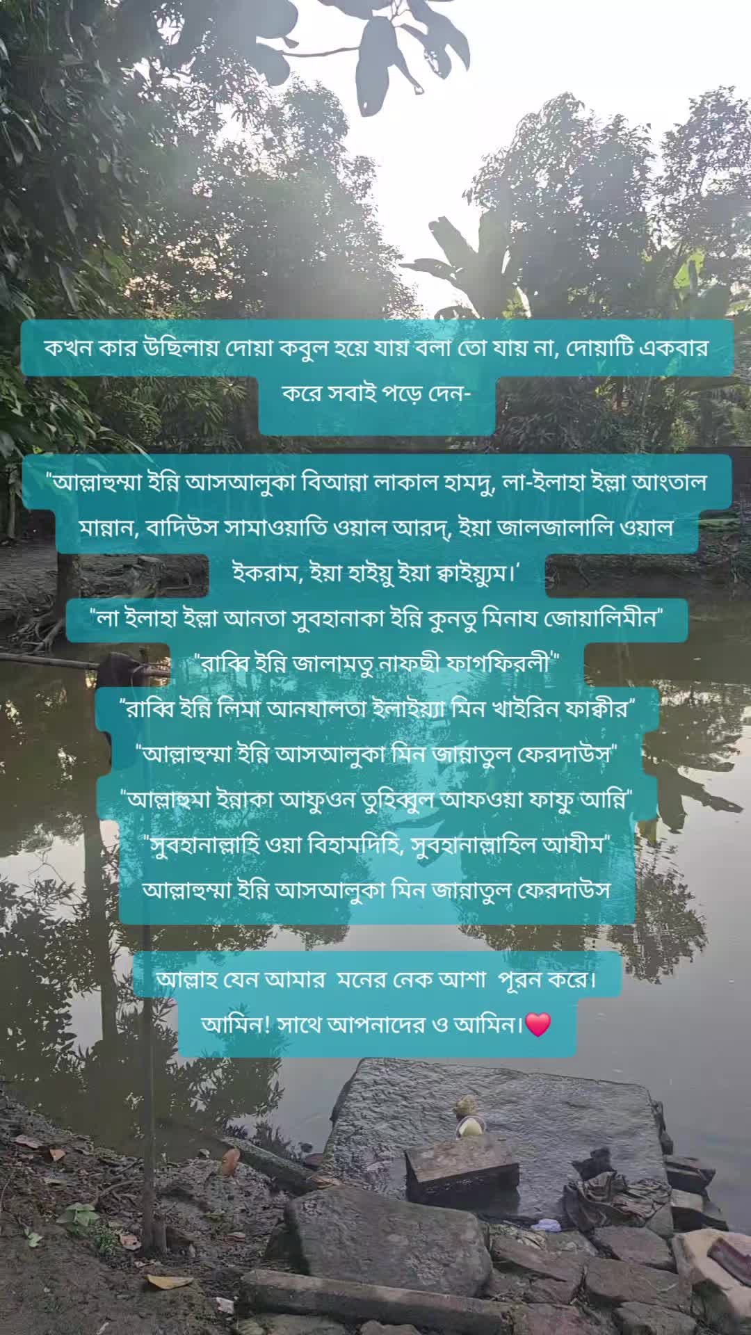 @showkat ali