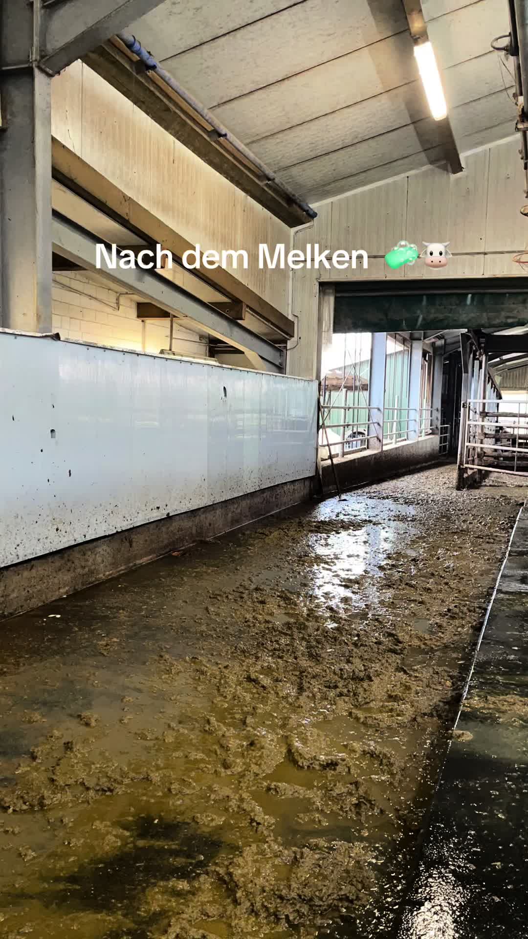 @farmgirl