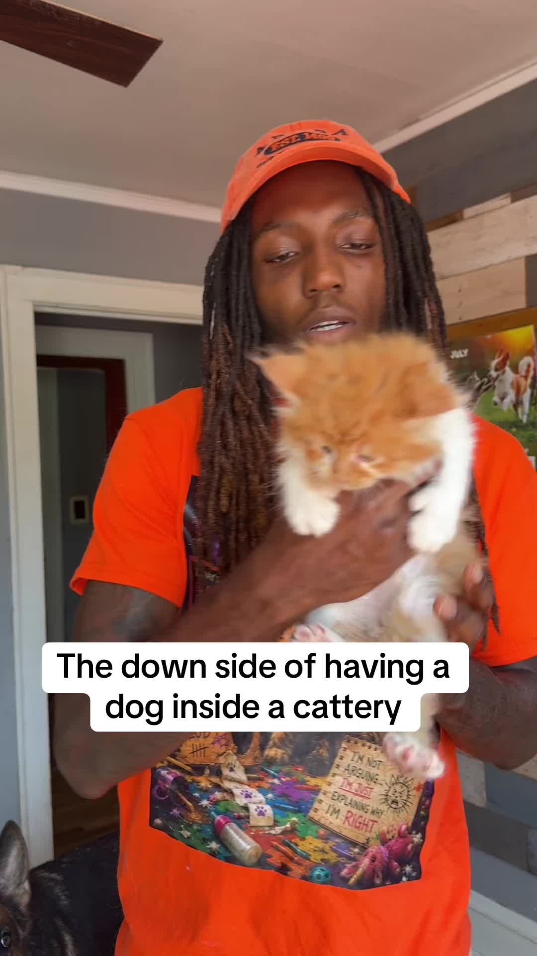 @Tycoon_Mainecoons