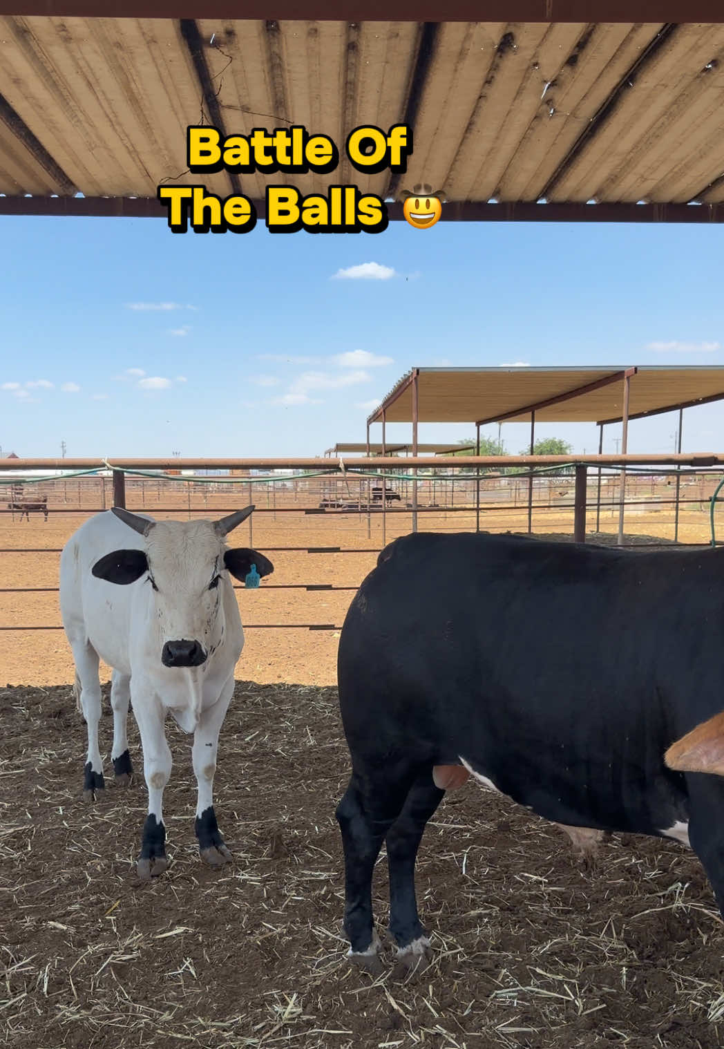 @Skylar Farming