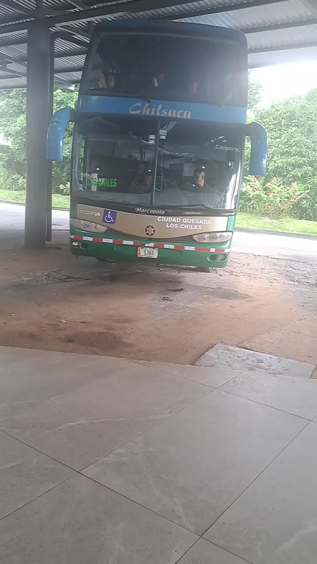 @Leví