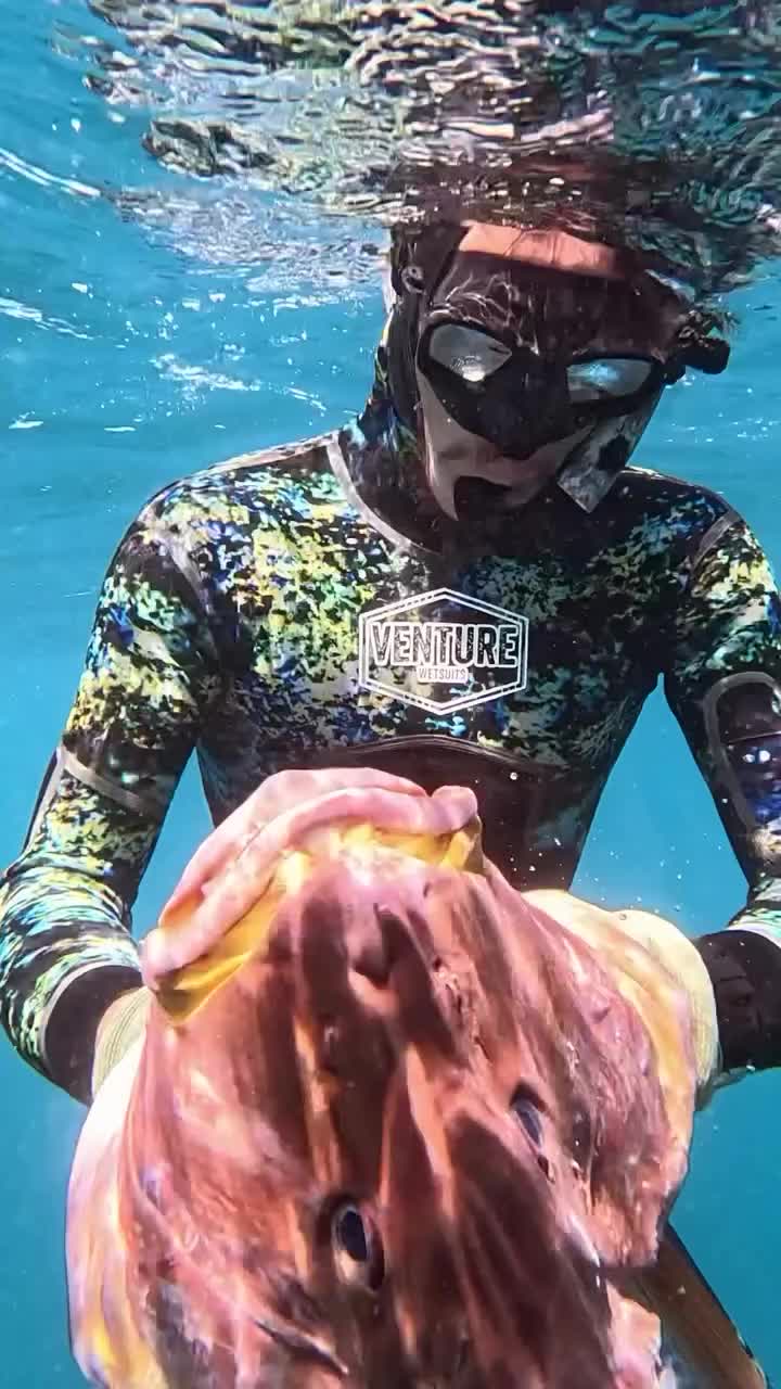 @Venture Wetsuits