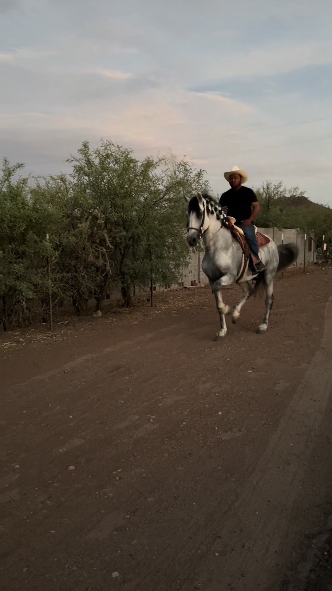 @ranchoelchaman