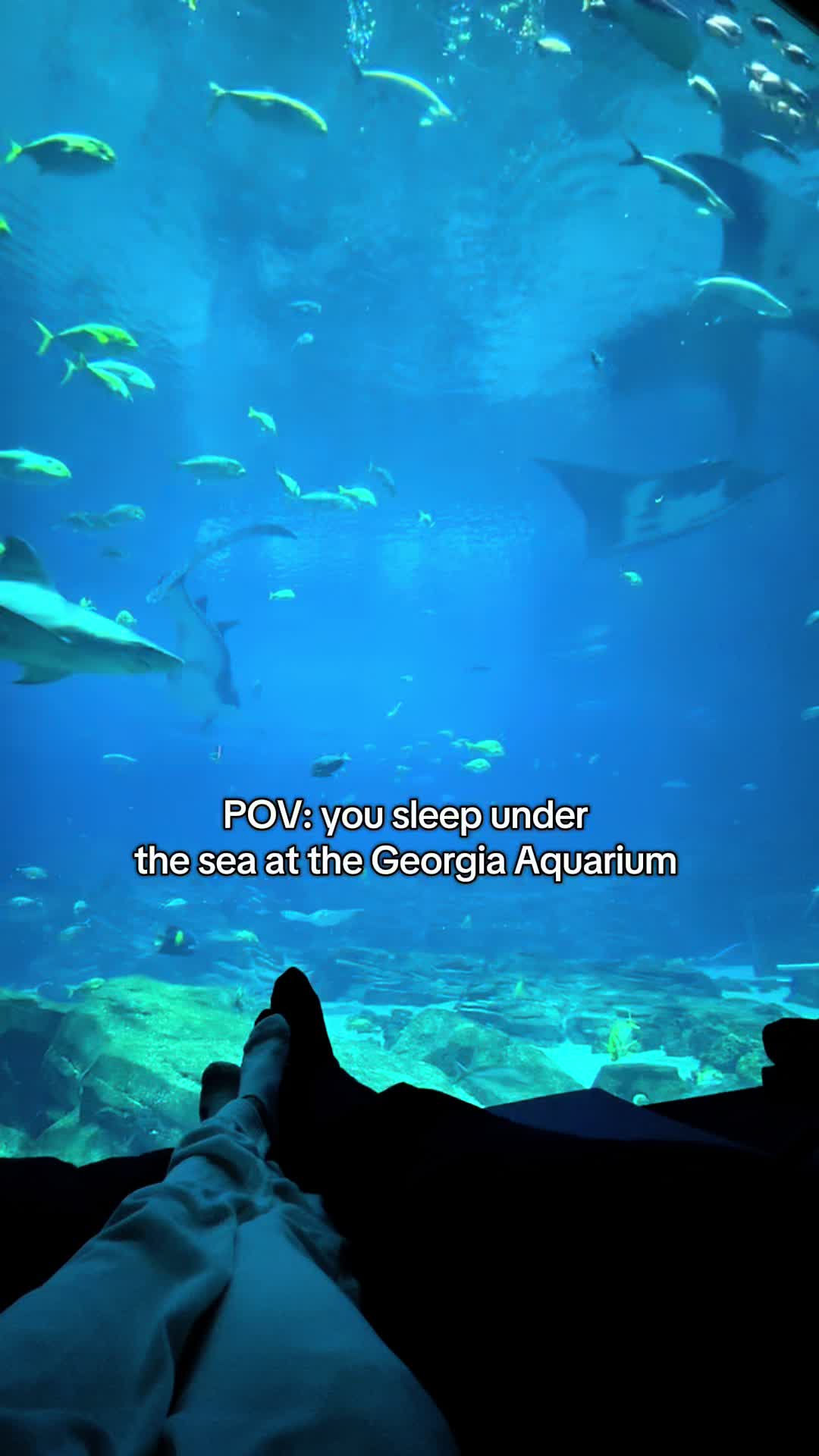 @Steph
