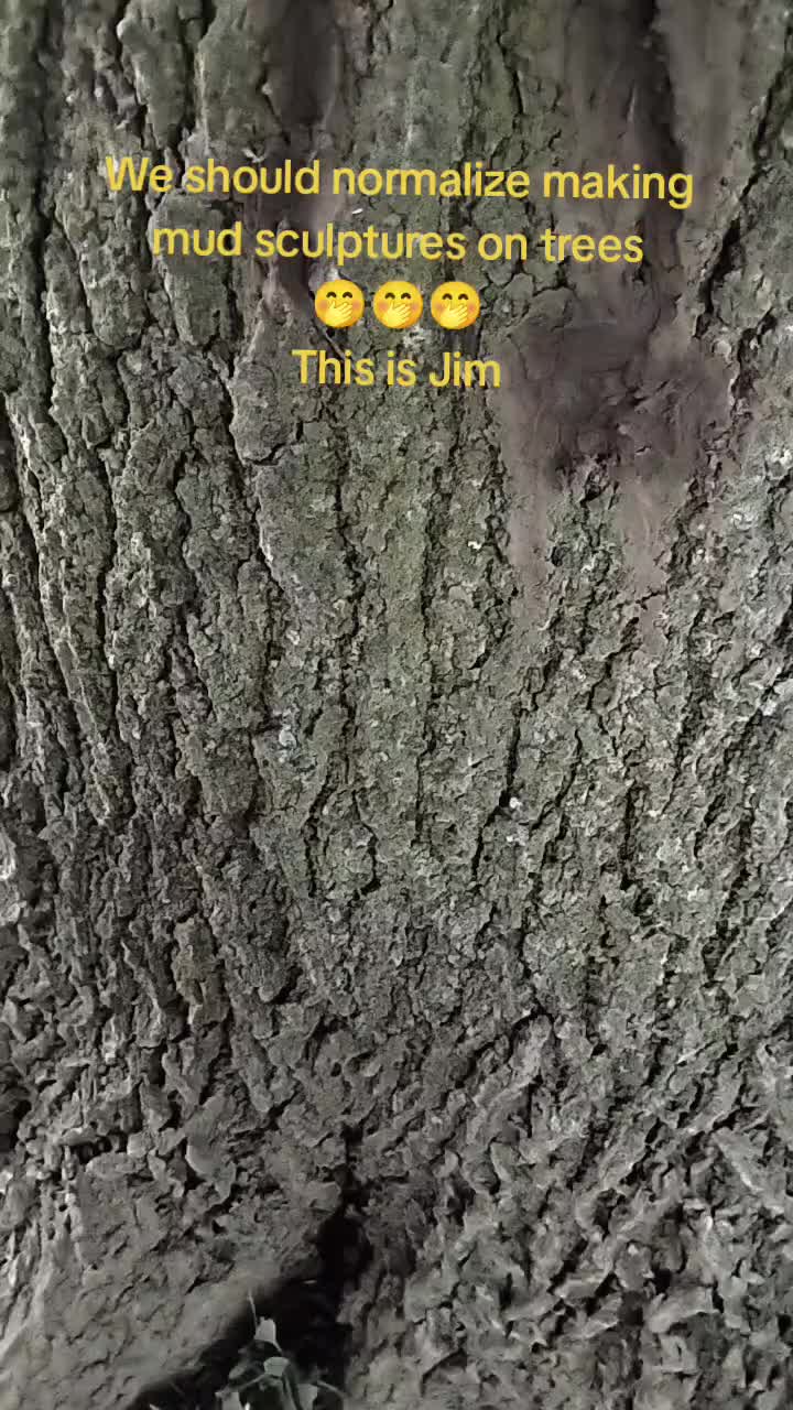 @Bre 🫶