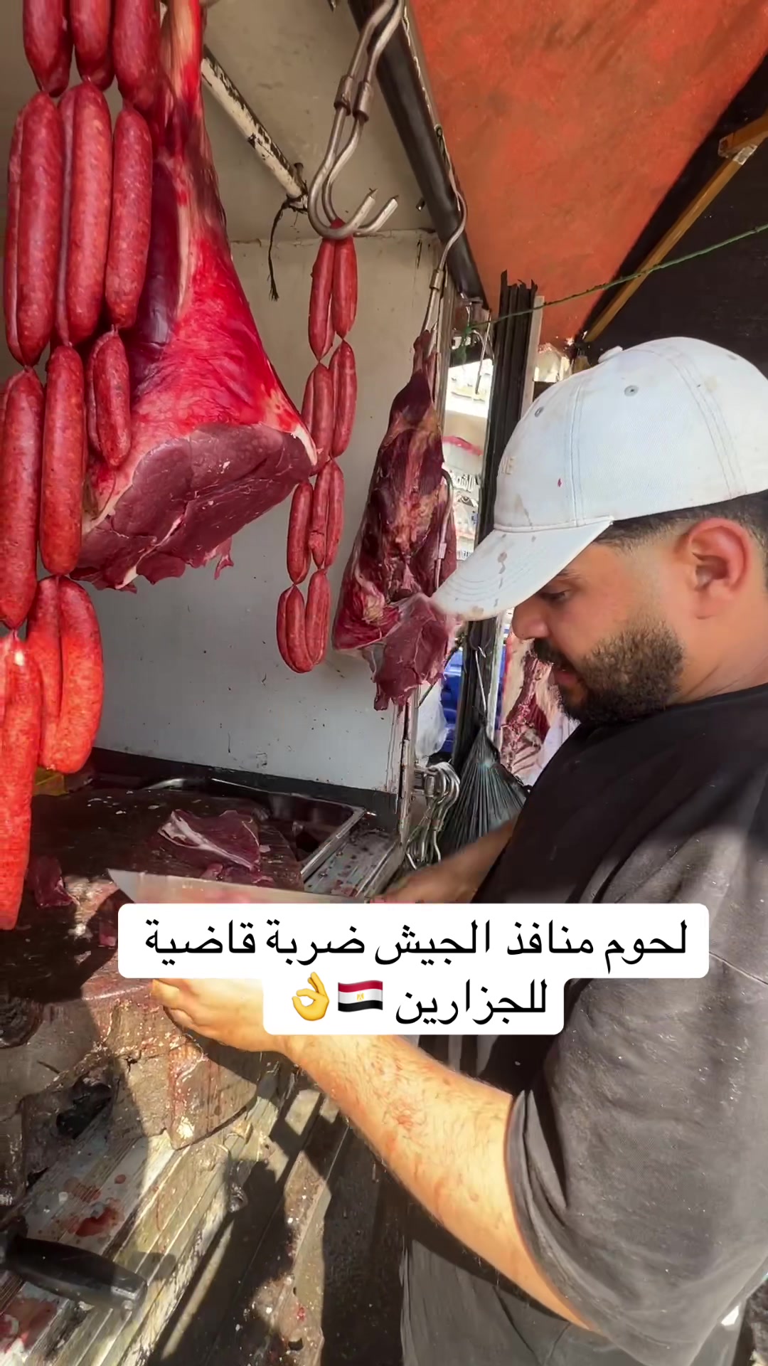 @Noor salah نور صلاح🇪🇬💎