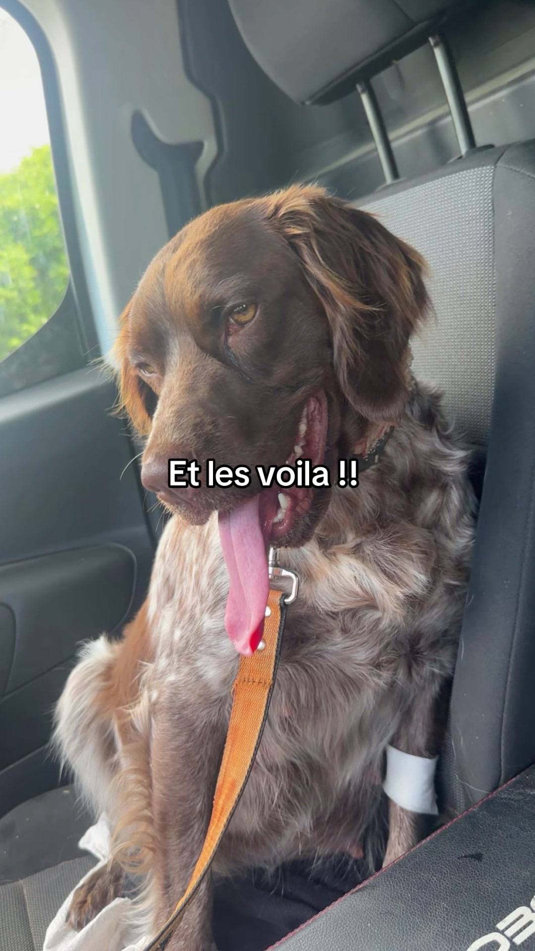 @Lise Lenglet