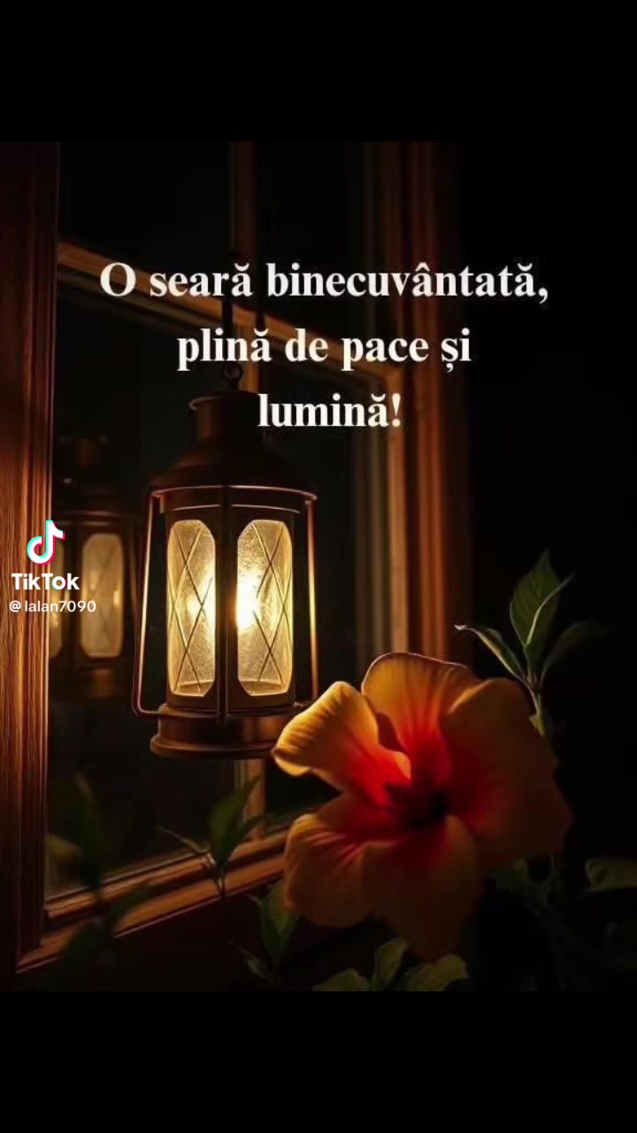 @Crina Lucia Ruja