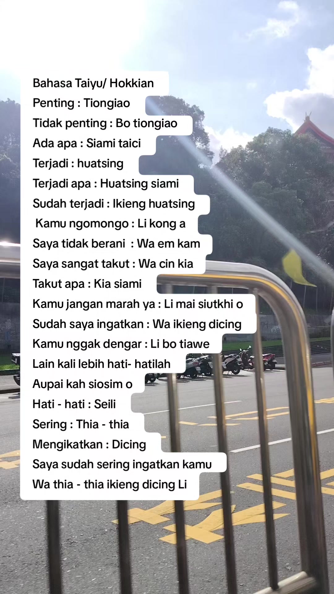@paijemelex