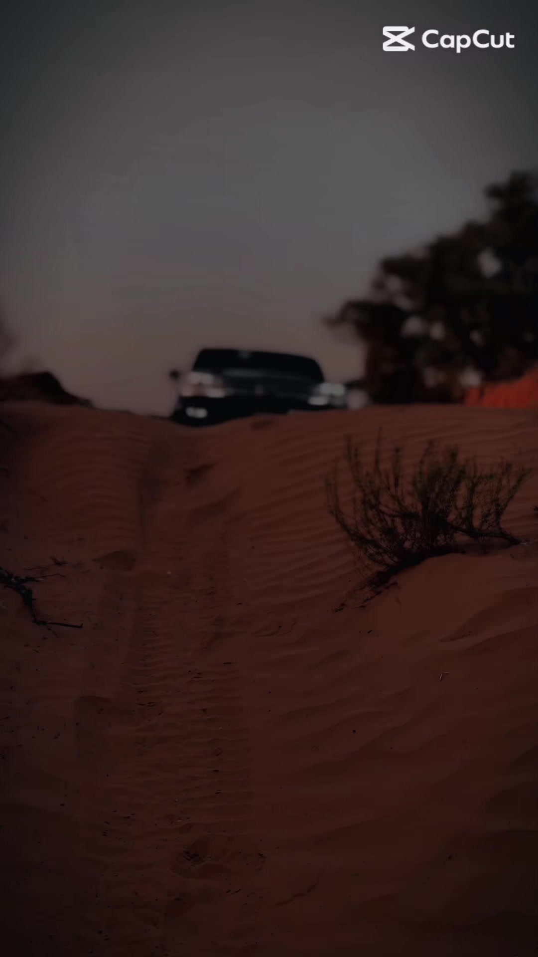 @عبدالله الأبيض ✌️