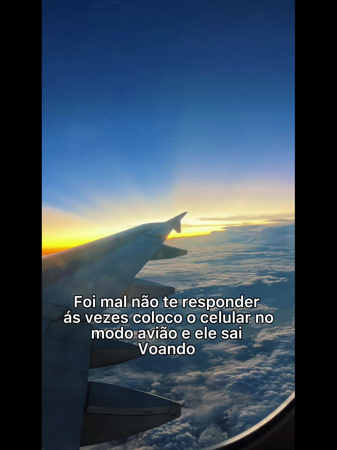 @Camale&atilde;o69🦎