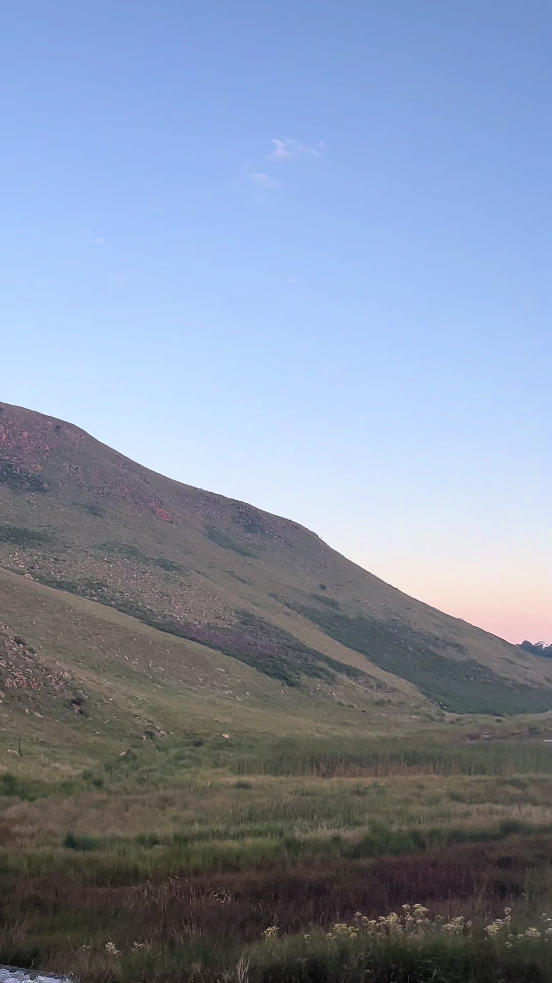 @South African Wanderer