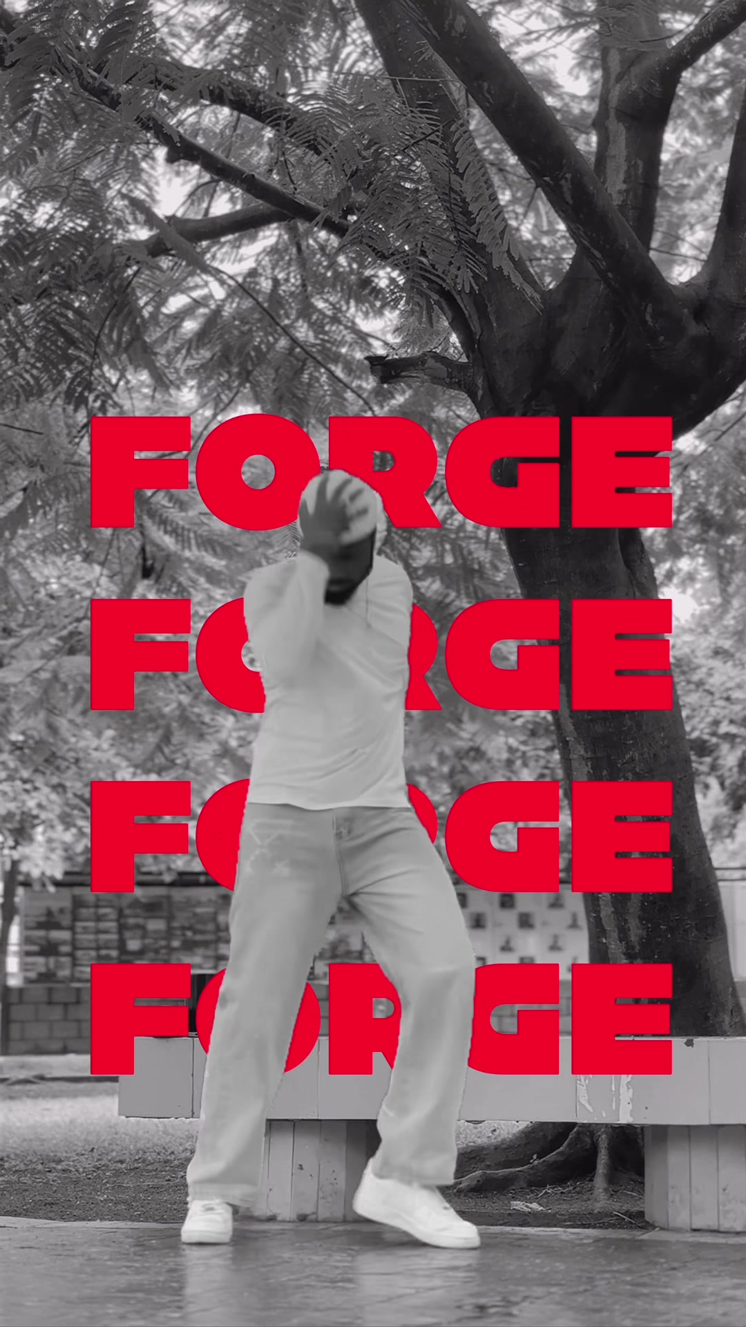 @Toby Forge👑