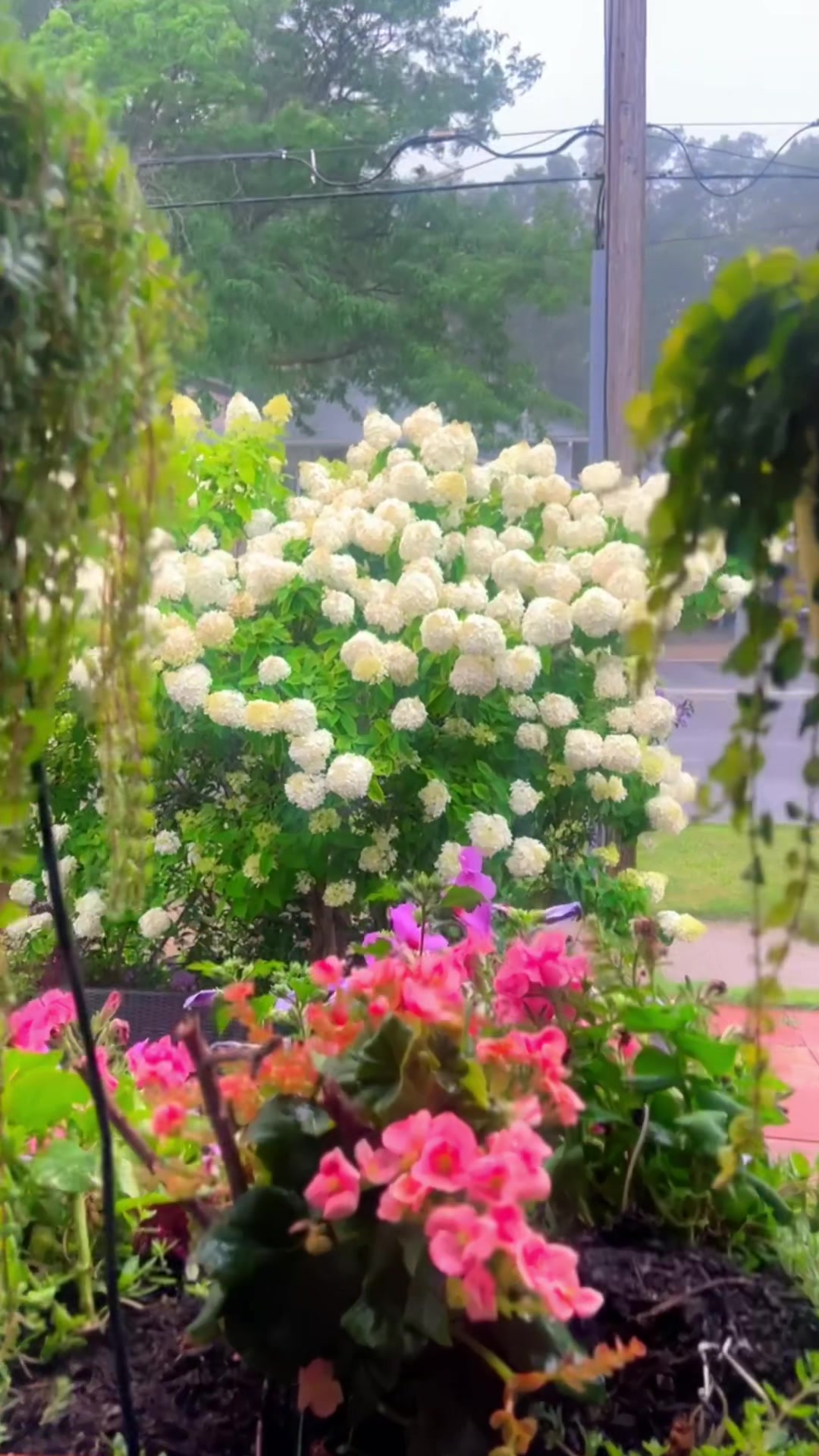 @ItsTharsh
