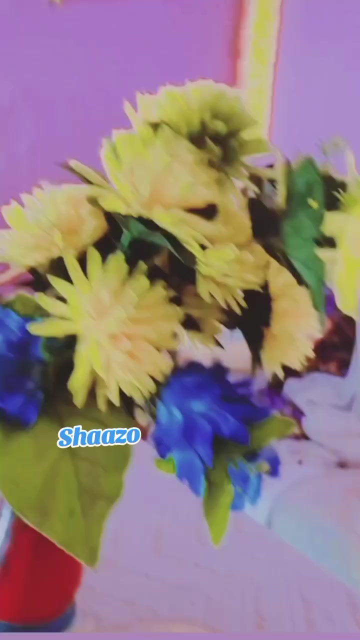 @💞Shᥲzιᥲ💞 khᥲn 💕ᕼ