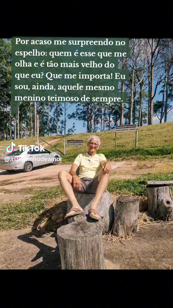 @lubruxinha