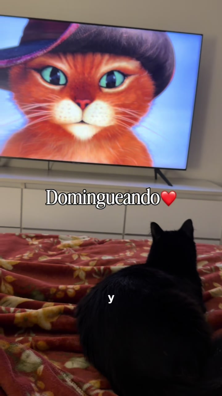 @LAURA RIVAS