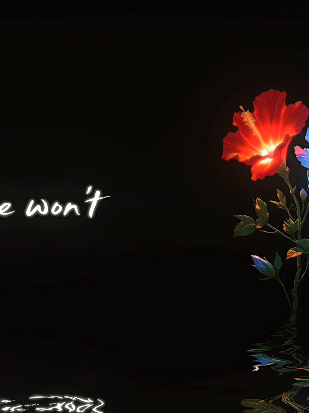 @𝐇𝐈𝐑𝐎.