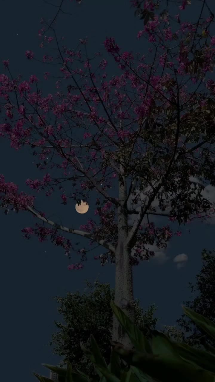 @๐ข๐ฑ๐ช๐ท๐ฒ๐ฎ๐ต๐ช