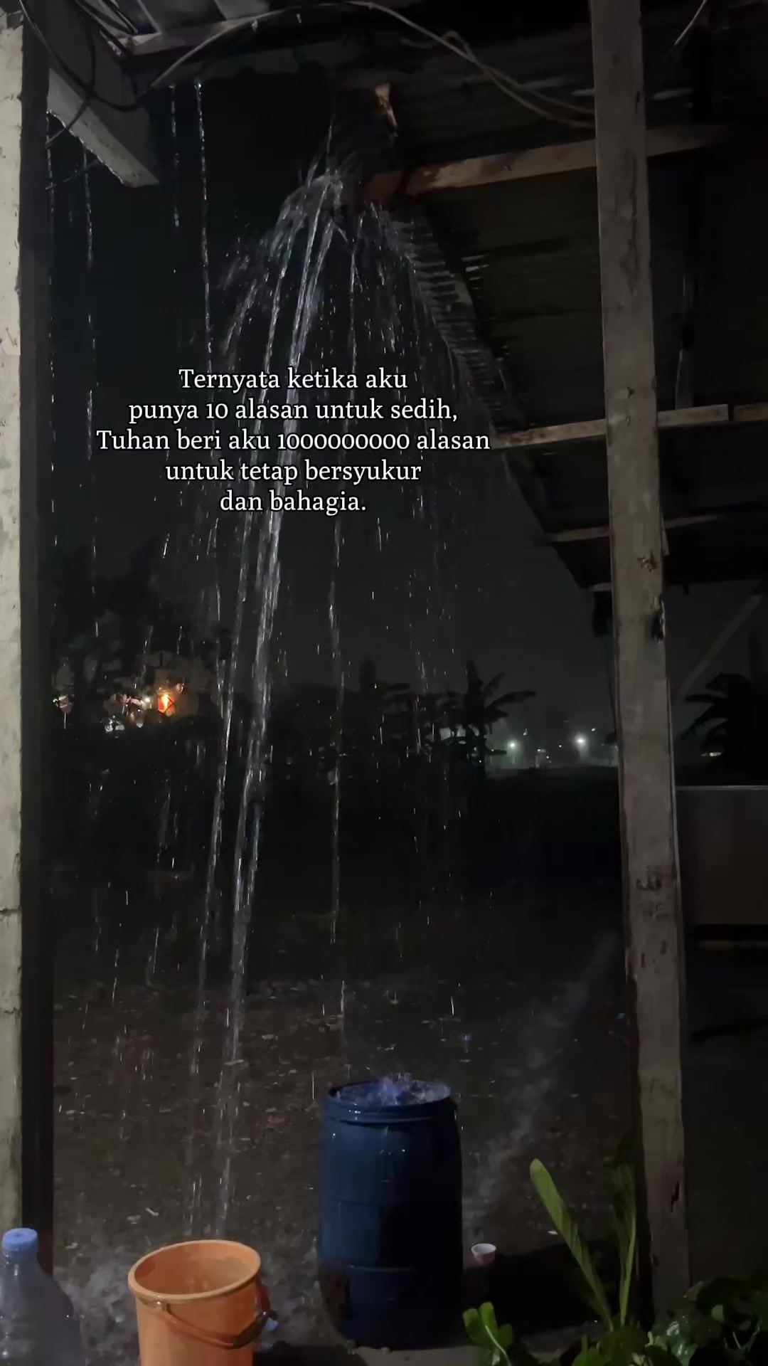 @seger shop