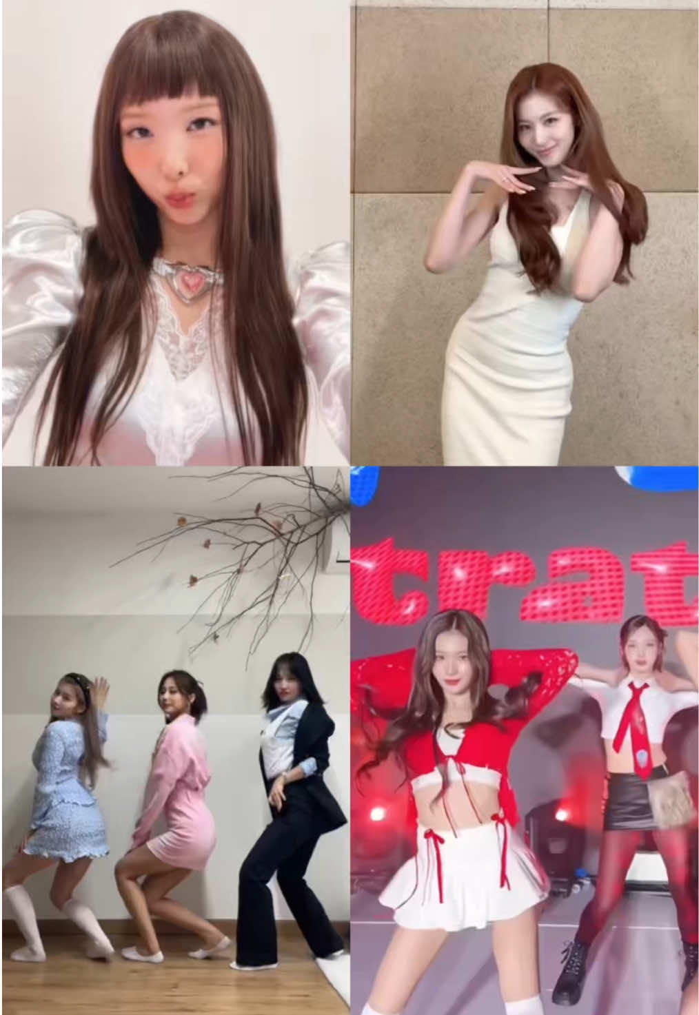 @MOMO