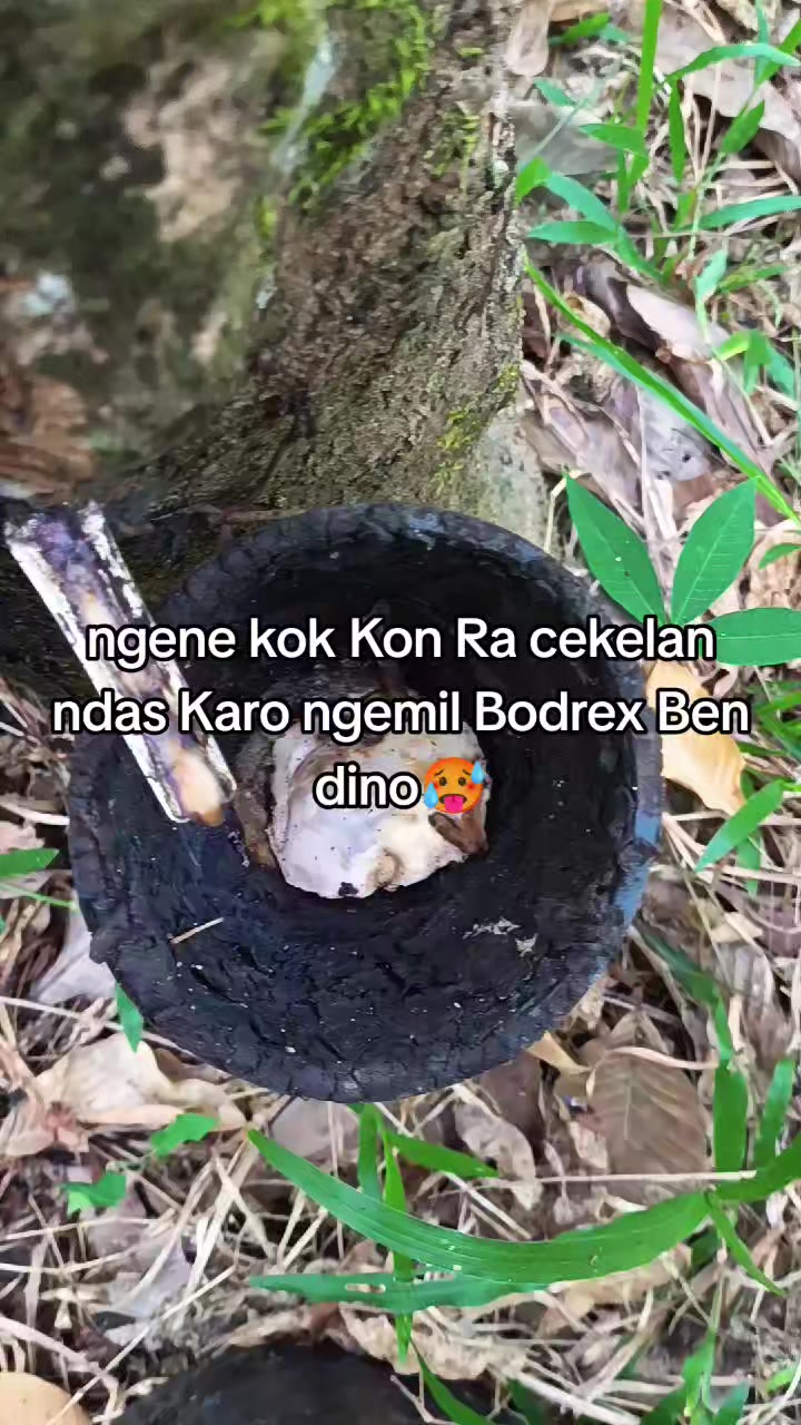 @BINI MU🌞