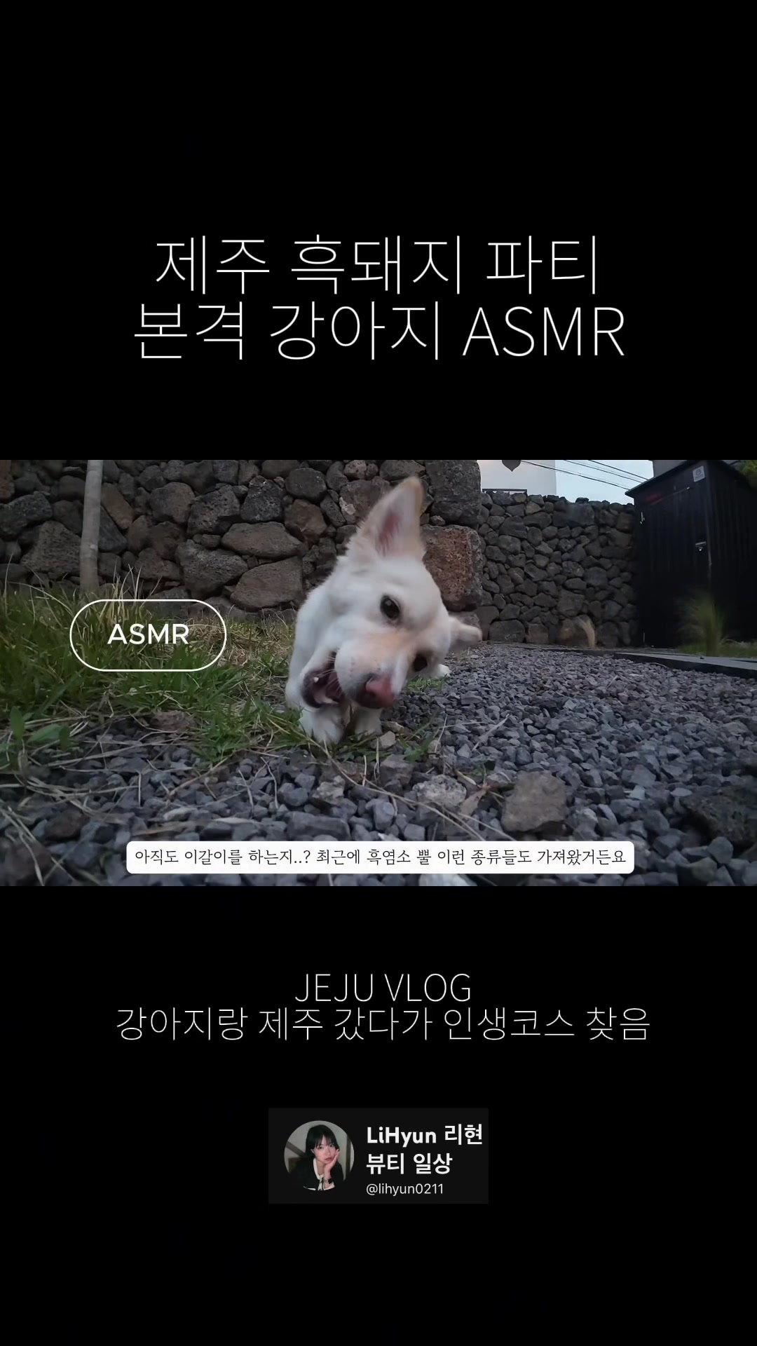 @서현