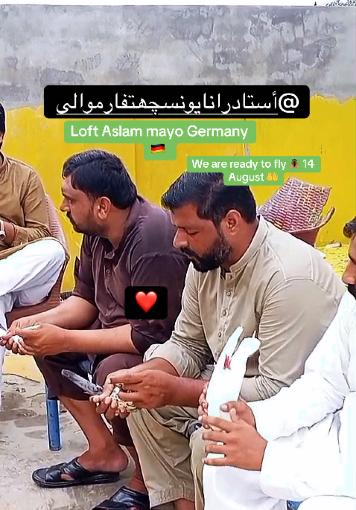 @Aslam Mayo Germany 🇩🇪