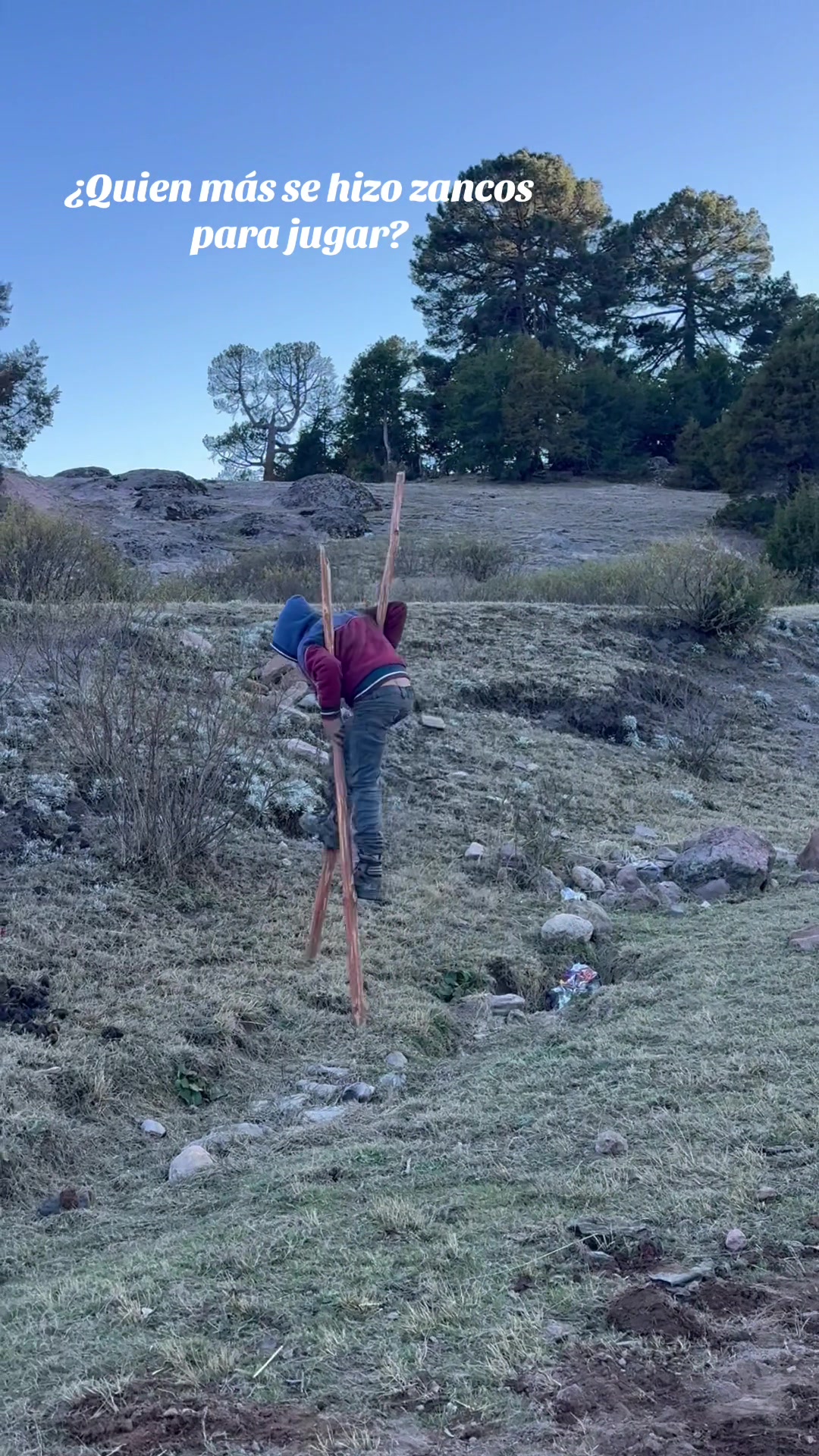 @Arelí 👑🌳🪵🧩