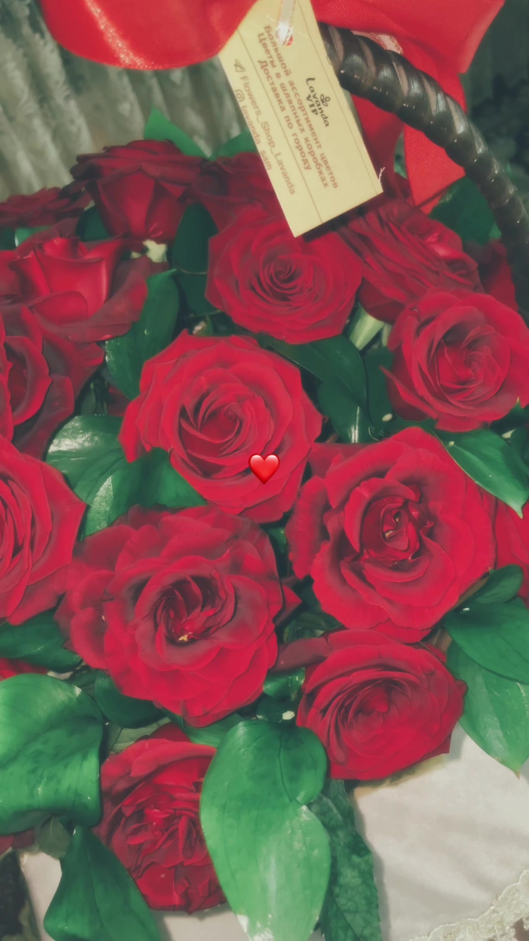 @𝐌𝐚𝐤𝐡𝐥𝐢𝐲𝐨🤍
