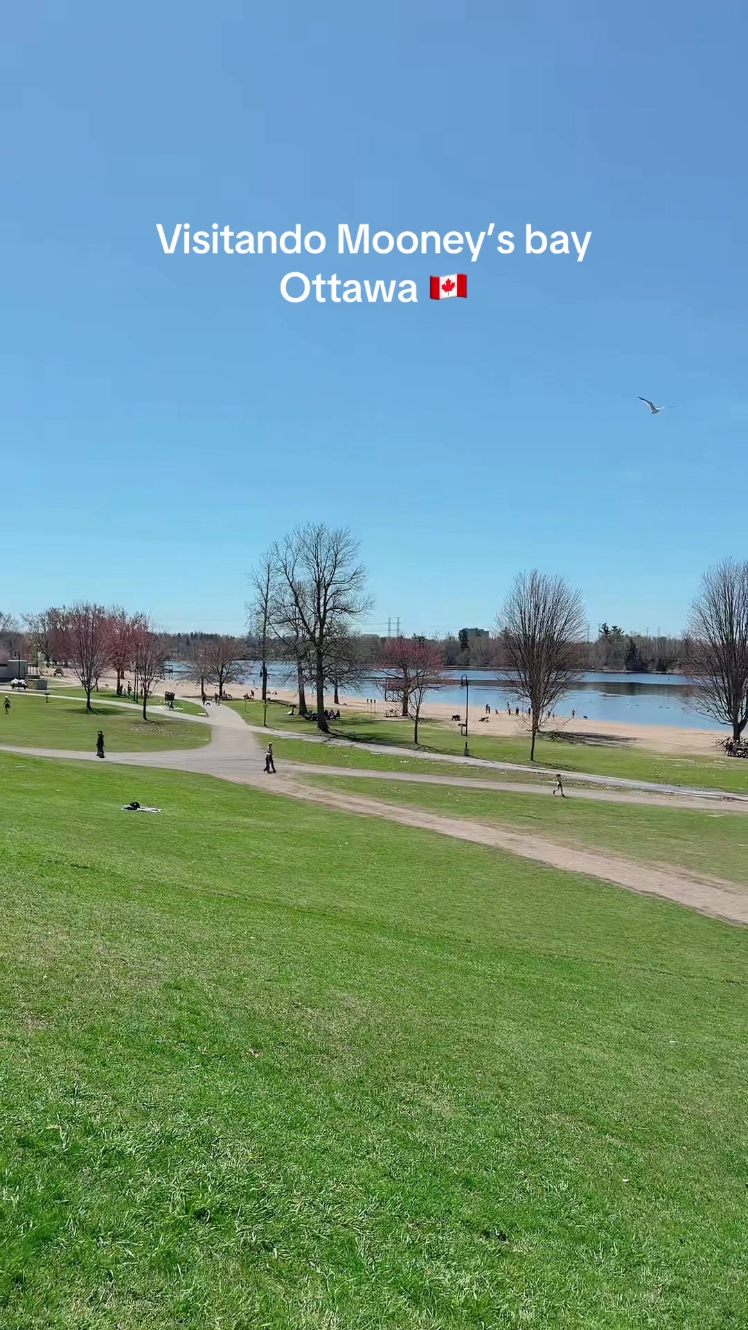 @Tony en Canada