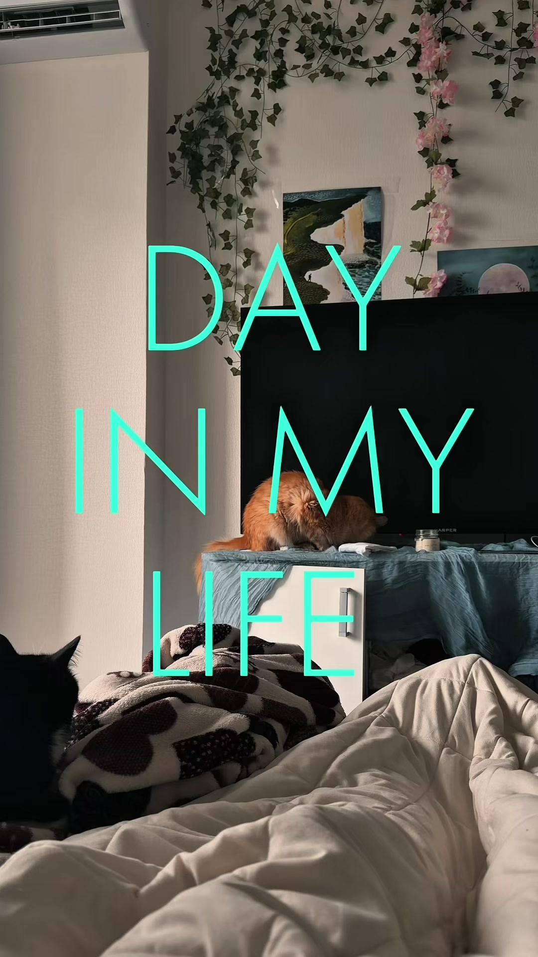 @S