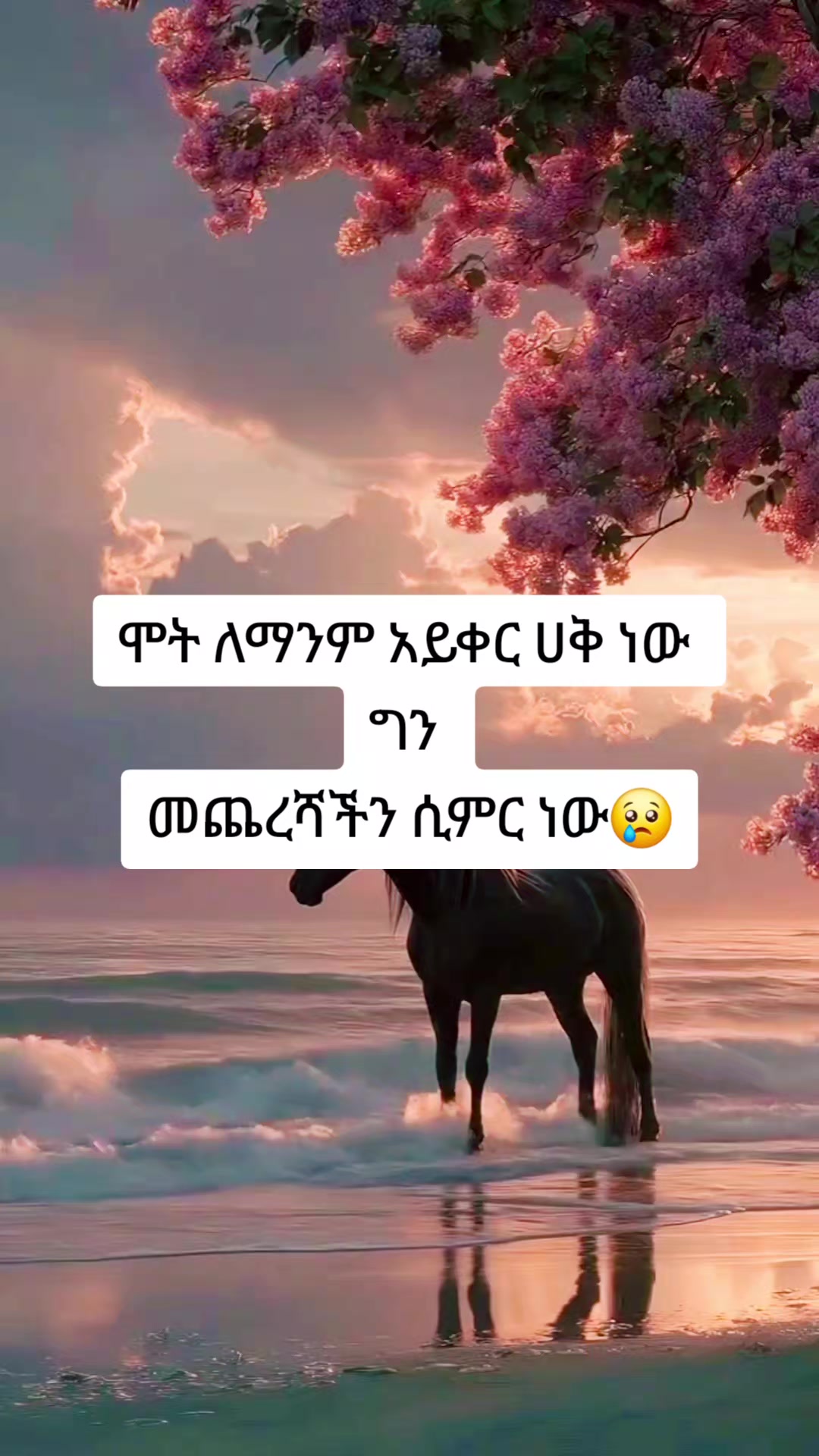 @ኢተቂሏህ ነብሴ 1الله كريم🕊🤍Ⓜ