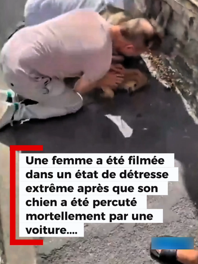 @actubrute_fr