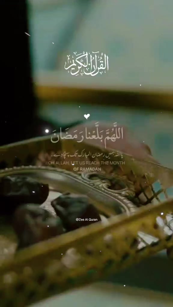 @🧸🌹أمينة🌹🍯