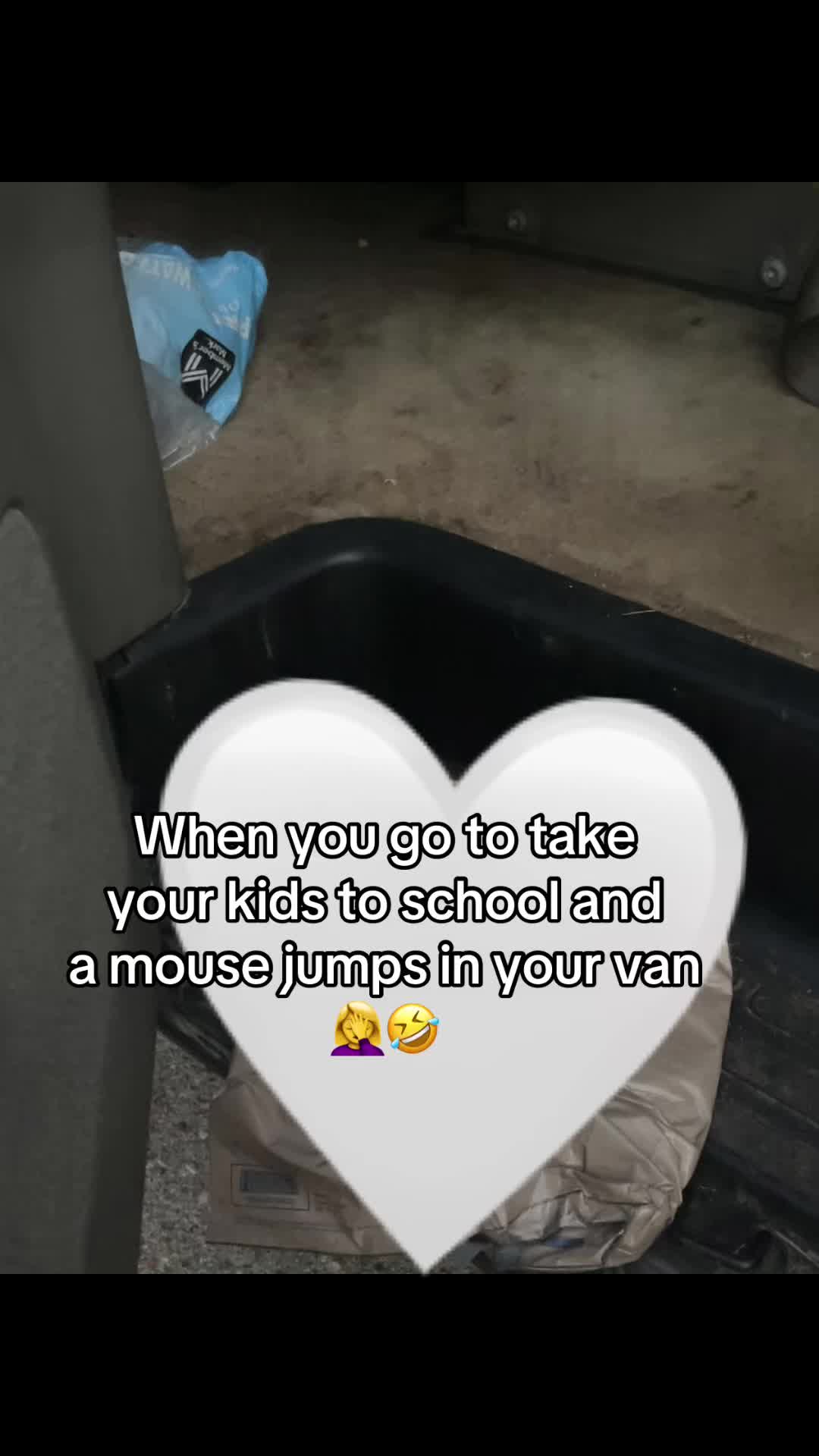 @dayinthelifeof10kids