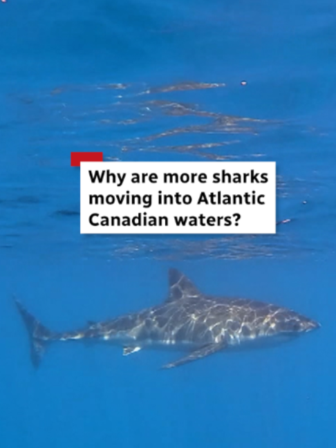 @CBC Nova Scotia
