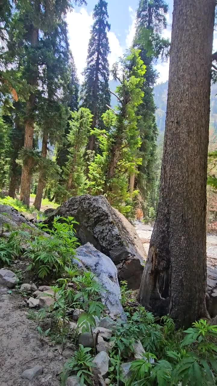 @AS 777