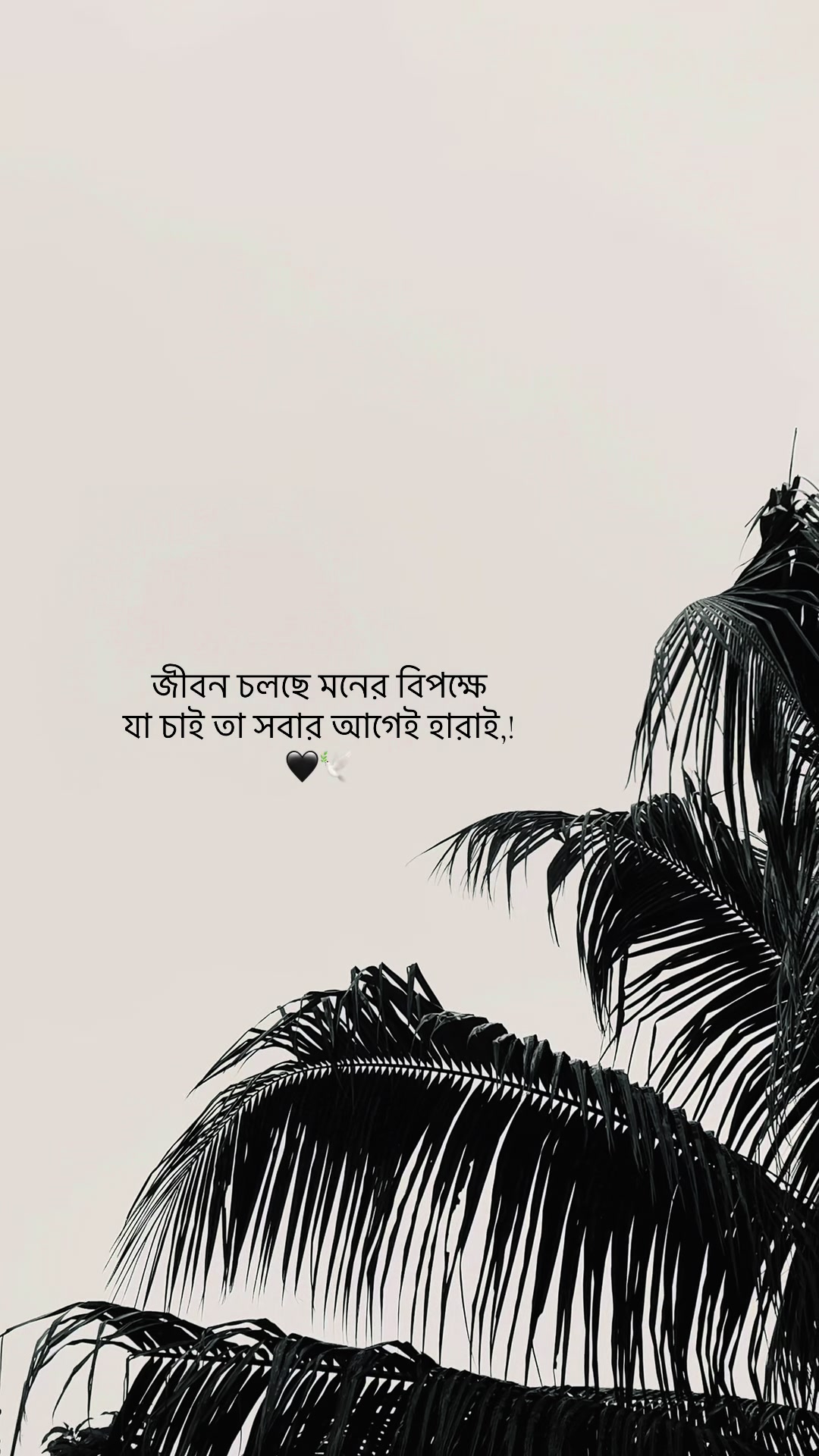 @đŗī¸A Z I M đĢ