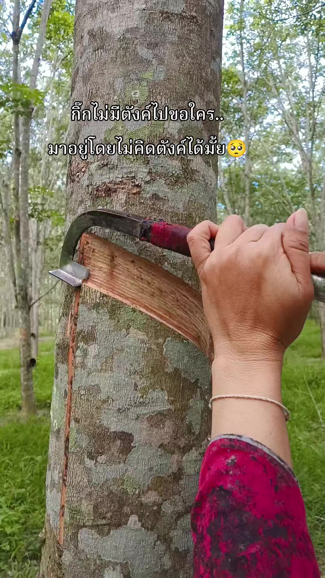 @ยัดไม่เข้าให้เอาหัวถู3ครััง