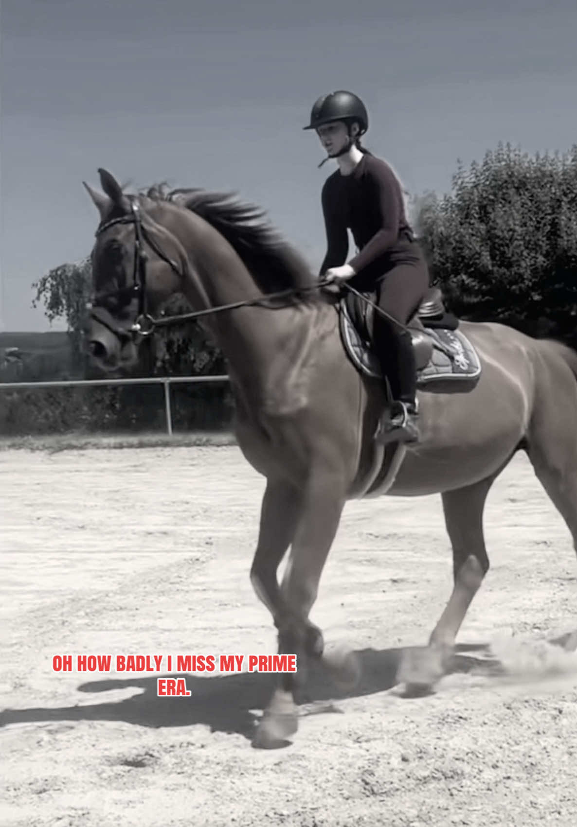 @annalisa.equestrian