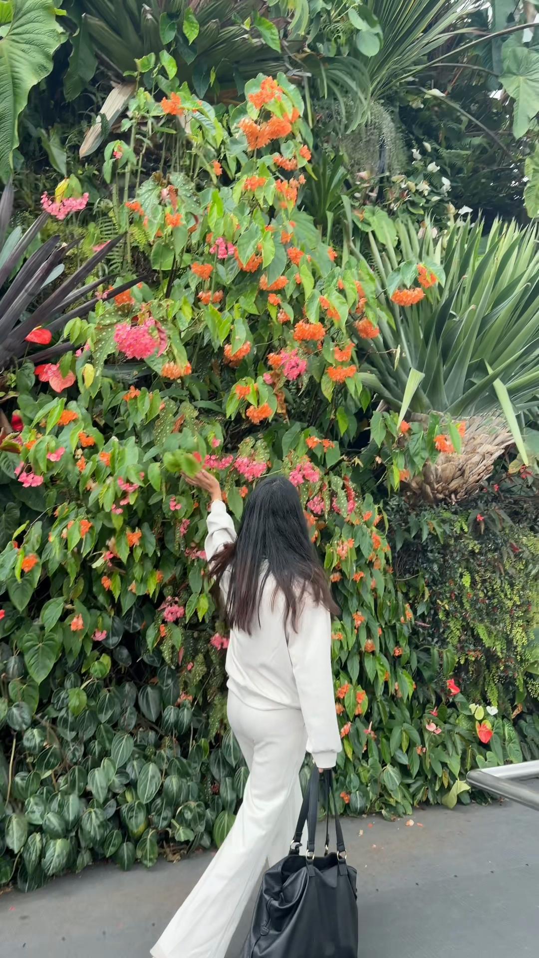 @Aneesa💫