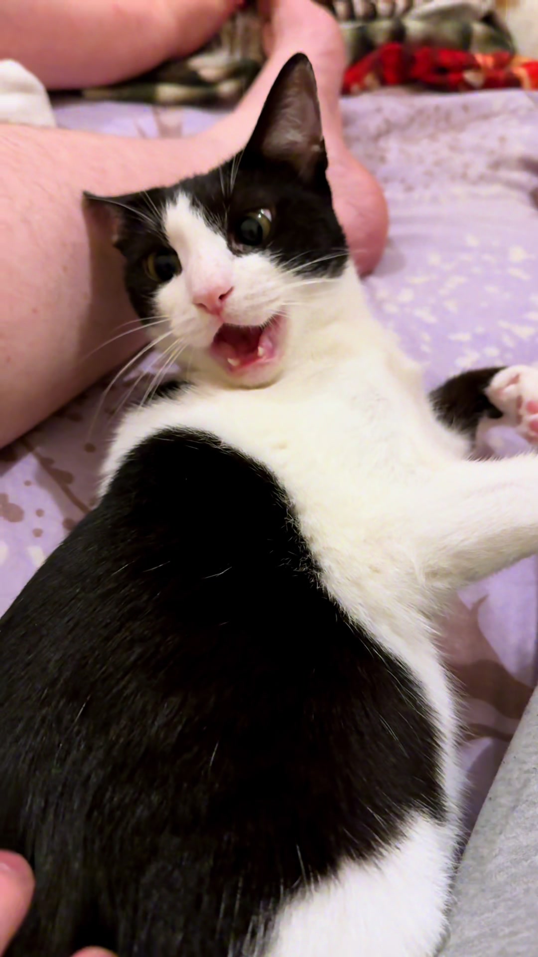 @Father5cats