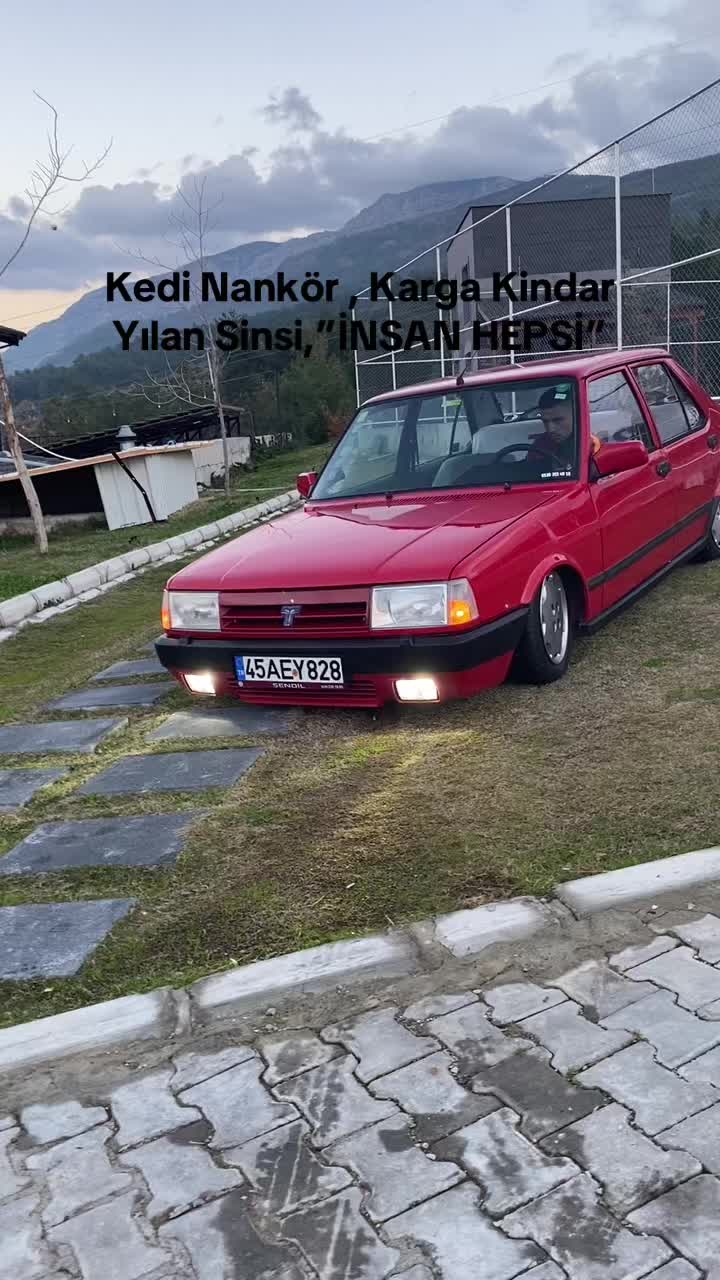 @MEHMET ALİ KARA