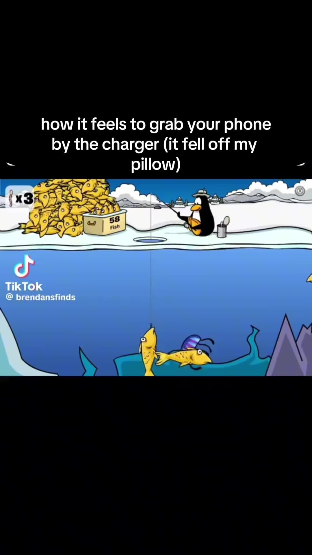 @seewhy