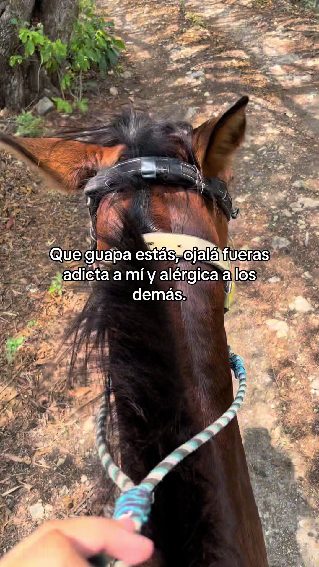 @Patito
