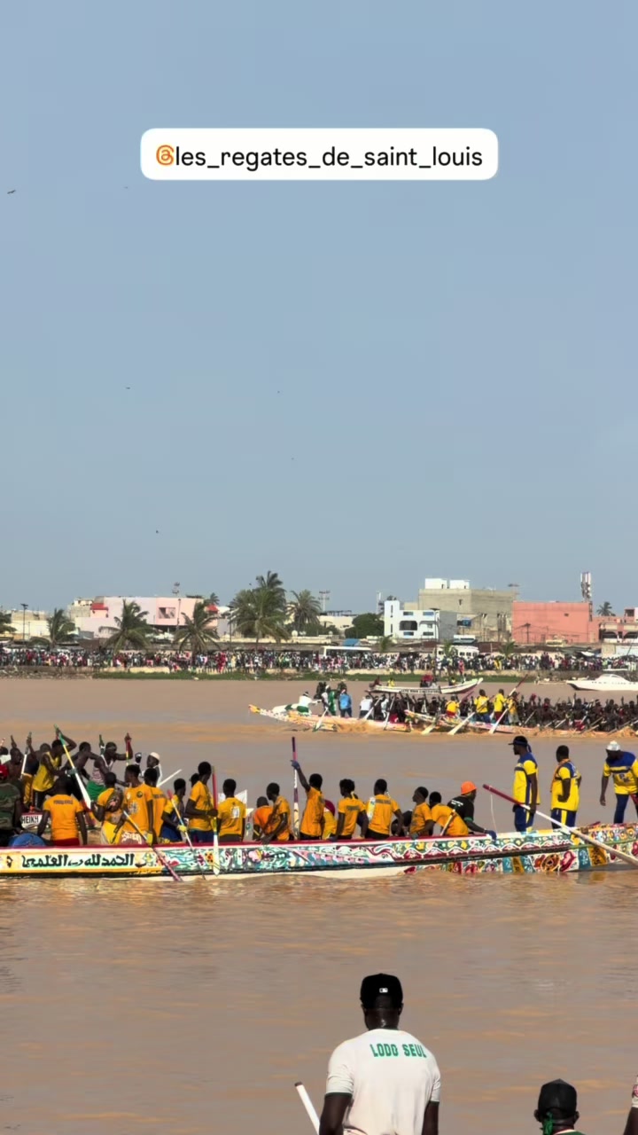 @Papa Mahmoud Gueye