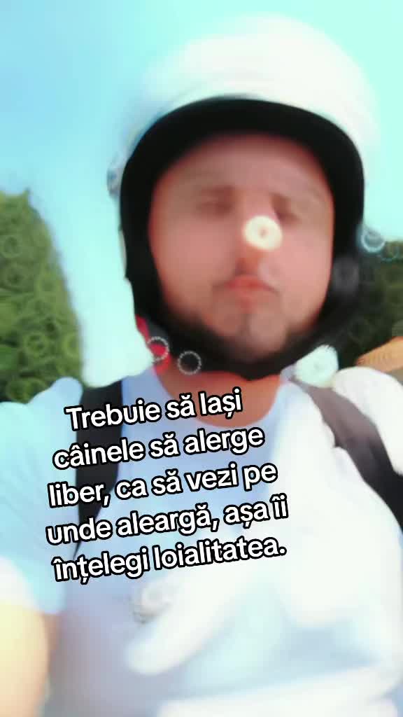 @👑Luigi Ss 💼💹