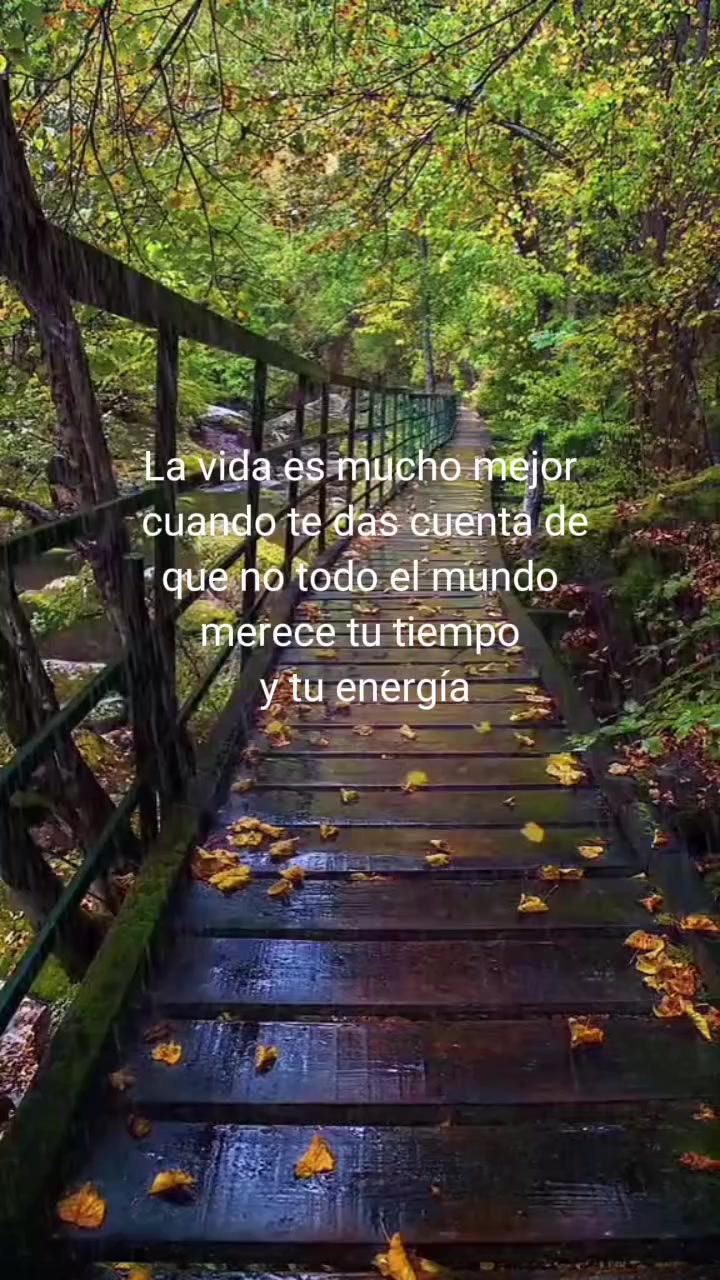@Lic.Estrella. ⭐🌻